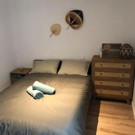 Appartement Cosy-Grand Stade Villeneuve D'Ascq Lezennes Dış mekan fotoğraf