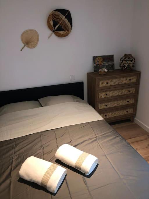 Appartement Cosy-Grand Stade Villeneuve D'Ascq Lezennes Dış mekan fotoğraf