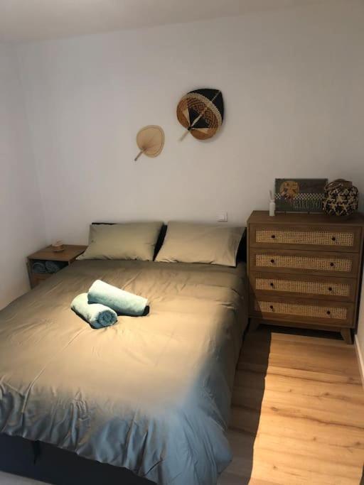Appartement Cosy-Grand Stade Villeneuve D'Ascq Lezennes Dış mekan fotoğraf